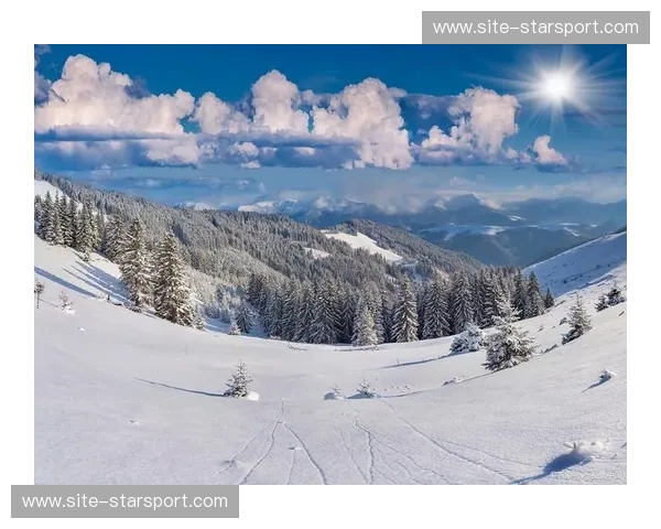 回放滑雪：把每一次下坡都留在心里的雪景